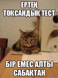 ертең тоқсандық тест бір емес алты сабақтан