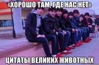 «хорошо там, где нас нет» цитаты великих животных