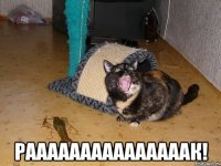  Рааааааааааааааак!