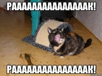 Рааааааааааааааак! Рааааааааааааааак!