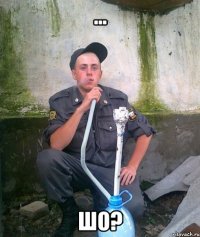 ... Шо?