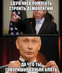 Еду в Киев помогать строить демократию да что ты говоришь,голубок блять