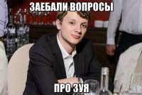 заебали вопросы про зуя