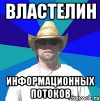 ВЛАСТЕЛИН информационных потоков