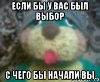 если бы у вас был выбор с чего бы начали вы