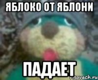 яблоко от яблони падает