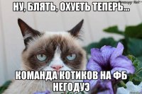 ну, блять, охуеть теперь... команда котиков на ФБ негодуэ