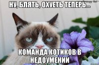 ну, блять, охуеть теперь... команда котиков в недоумении