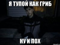 я тупой как гриб ну и пох