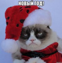 Новый Год! 