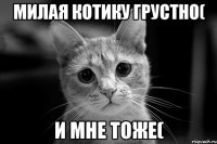 Милая котику грустно( И мне тоже(