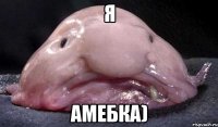 я амебка)