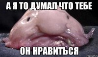 а я то думал что тебе он нравиться