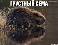 Грустный Сёма 