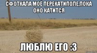 Сфоткала моё перекатиполе,пока оно катится Люблю его :3