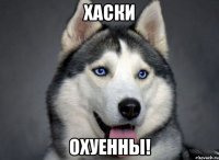 ХАСКИ ОХУЕННЫ!