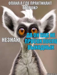  незнаю ДА ОН ЕЩЕ НЕ ПРОСОХ ПОСЛЕ ВЫХОДНЫХ Опана а где практикант второй?