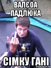 валєоа падлюка сімку гані