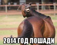  2014 год лошади
