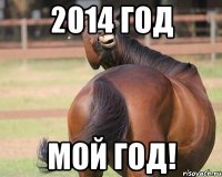 2014 год Мой год!