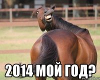  2014 мой год?