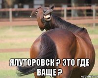  ЯЛУТОРОВСК ? ЭТО ГДЕ ВАЩЕ ?