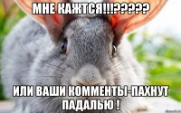 МНЕ КАЖТСЯ!!!????? ИЛИ ВАШИ КОММЕНТЫ-ПАХНУТ ПАДАЛЬЮ !