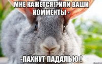 МНЕ КАЖЕТСЯ!?ИЛИ ВАШИ КОММЕНТЫ - -ПАХНУТ ПАДАЛЬЮ !