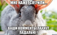 МНЕ КАЖЕТСЯ!?ИЛИ... ВАШИ КОММЕНТЫ ПАХНУТ ПАДАЛЬЮ !