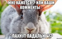 МНЕ КАЖЕТСЯ!? ИЛИ ВАШИ КОММЕНТЫ - " ПАХНУТ ПАДАЛЬЮ "!?