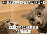 Интересно кошка дрищит, хвост поднимет и полыщит