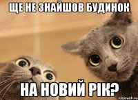 ще не знайшов будинок на новий рік?