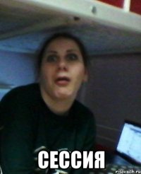  Сессия