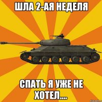 Шла 2-ая неделя Спать я уже не хотел....