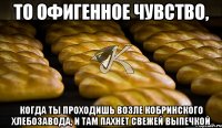 То офигенное чувство, когда ты проходишь возле Кобринского хлебозавода, и там пахнет свежей выпечкой