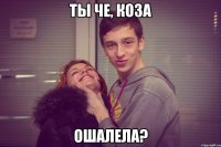 Ты че, коза Ошалела?