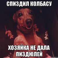 Спиздил колбасу хозяйка не дала пиздюлей