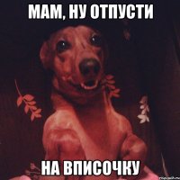 Мам, ну отпусти на вписочку