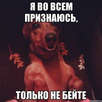 Я во всем признаюсь, только не бейте
