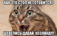 как это стол не готовится? шевелись давай, хозяйка!!!