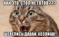 как это, стол не готов??? шевелись давай, хозяйка!