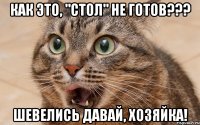 как это, "стол" не готов??? шевелись давай, хозяйка!