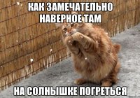 как замечательно наверное там на солнышке погреться