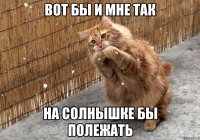 вот бы и мне так на солнышке бы полежать