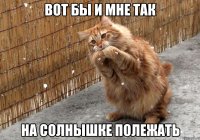 вот бы и мне так на солнышке полежать