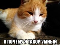  И почему я такой умный