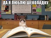да я люблю шеколадку 