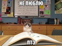 Не люблю ПТЭ