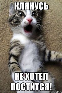 клянусь не хотел постится!