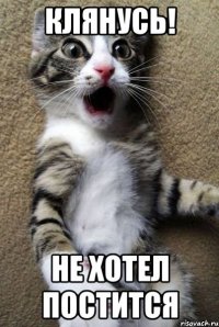 клянусь! не хотел постится